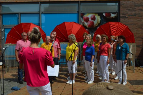 StraattheaterFestival De Ronde Venen 2022